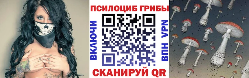 Псилоцибиновые грибы MAGIC MUSHROOMS  Завитинск 